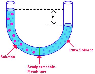 Osmotic Pressure The pressure needed to reverse or stop osmosis