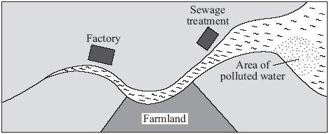 (c) The diagram shows a map of a river and its estuary. Environmental scientists have found that the water flowing into one part of the river estuary is polluted.