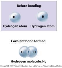 Why do they SHARE electrons