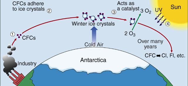 1.6 Science in Action: A Case Study In 1985, a scientist discovered a hole in the ozone above Antarctica The culprit was later revealed to be chlorofluorocarbons (CFCs) Coolants in air conditions;