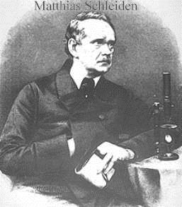 Development of Cell Theory 1838- German Botanist, Matthias