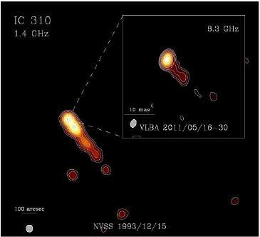 IC 310: radio galaxy or blazar? VLBI reveals a pc-scale inner structure, with a one-sided core-jet structure oriented along the same position angle as the kpc scale structure. Low luminosity FR I?