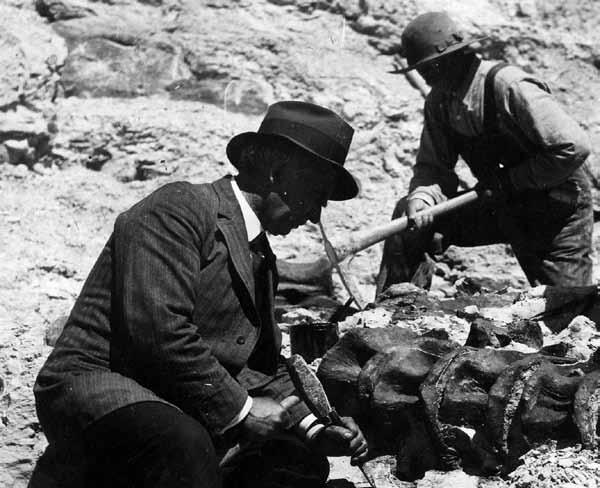 Colorado Fossils Found
