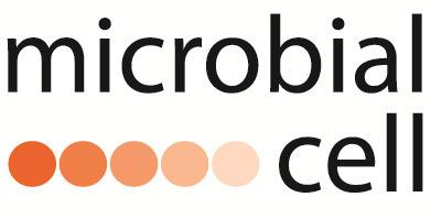 www.microbialcell.