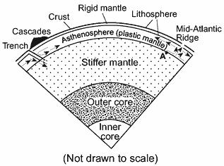 82. When a continental crustal plate collides with an oceanic crustal plate, the continental crust is forced to move over the oceanic crust.