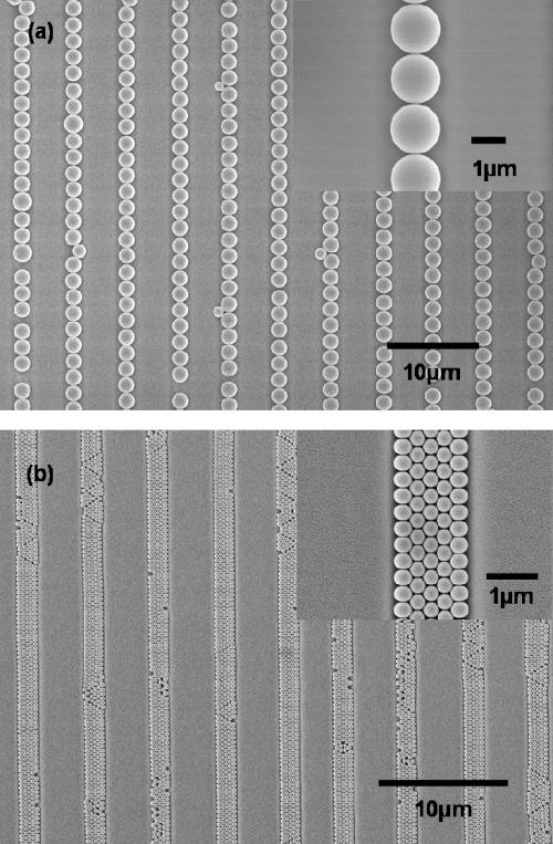 8250 Langmuir, Vol. 22, No. 19, 2006 Varghese et al. Figure 3. (a) Optical micrograph of the template with channels with periodic pockets.