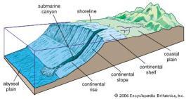 Continental Margin Area where the edges of the continents meet the