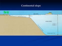 to small fish and coral Continental Slope Quick drop in the