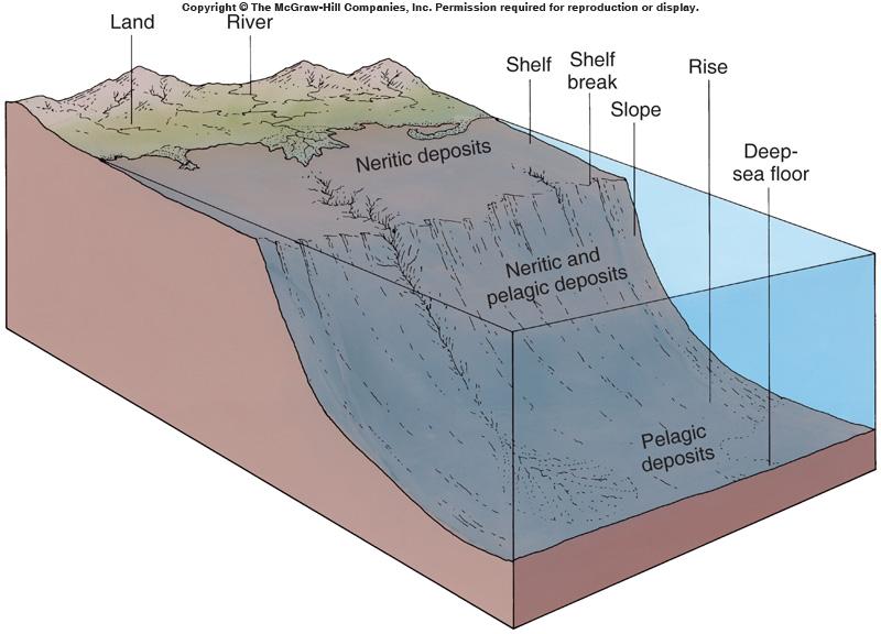 Location Marine sediments are classified as: (i) neritic (coastal) poorly sorted; from erosion of rocks on land,