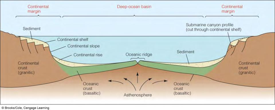 What are the three classifications of ocean floor?
