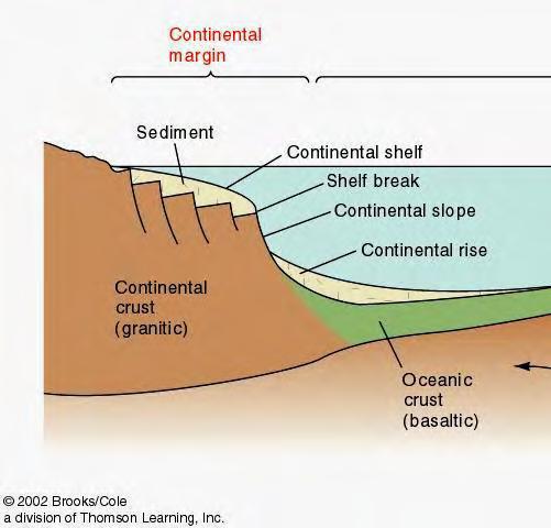 Continental Margins Continental Shelf - shallow, submerged edge of the continent. Shelf break - abrupt transition from continental shelf to the continental slope.