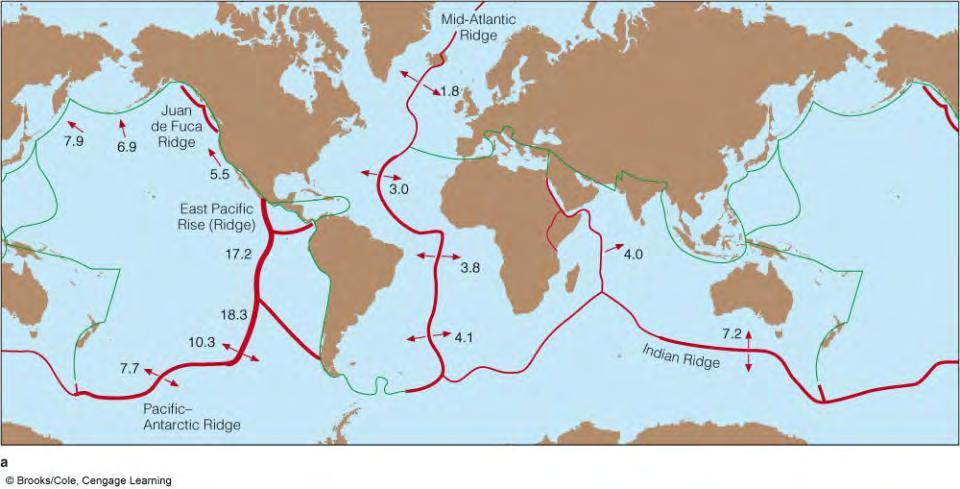 Topology of Deep-Ocean Basins Differs from That of the Continental Margin A mid-ocean