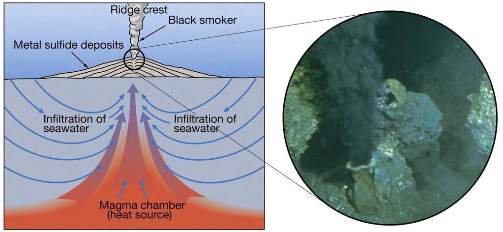 Mid-Oceanic ridges & Hydrothermal Vents Warm-water vents are below 30⁰ C and emit clear water. White smokers emit water between 30 ⁰ and 350 ⁰.