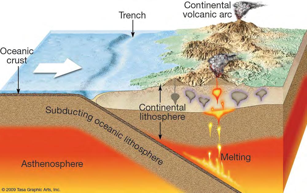 Convergent Boundary Features Plates move toward each other Oceanic crust