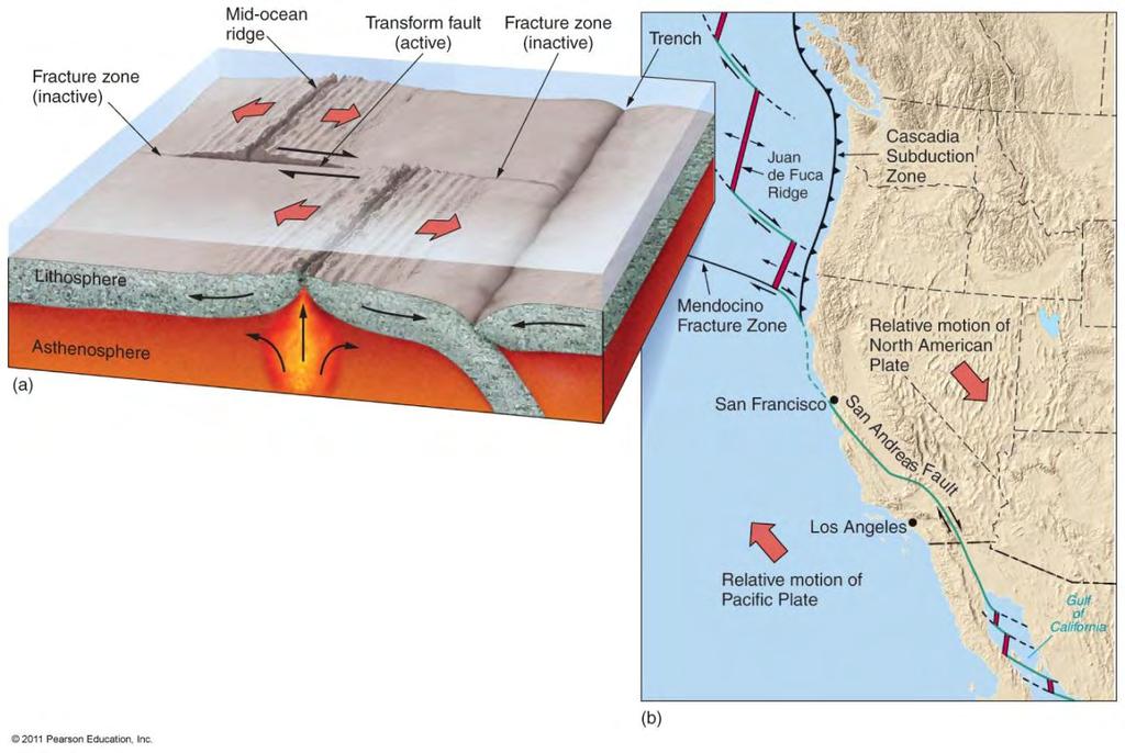 Transform Boundary Features Oceanic Transform Fault ocean floor only Continental Transform Fault cuts