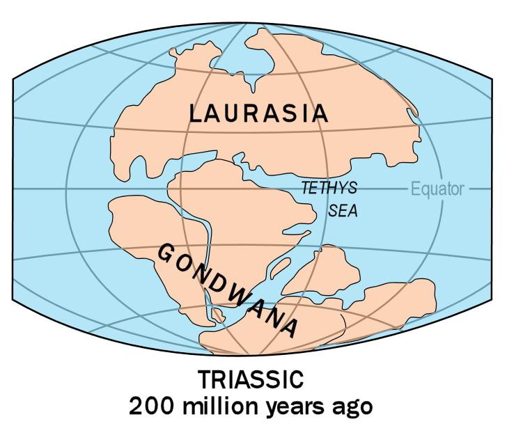 Laurasia consisted of: Europe, Asia, and North America