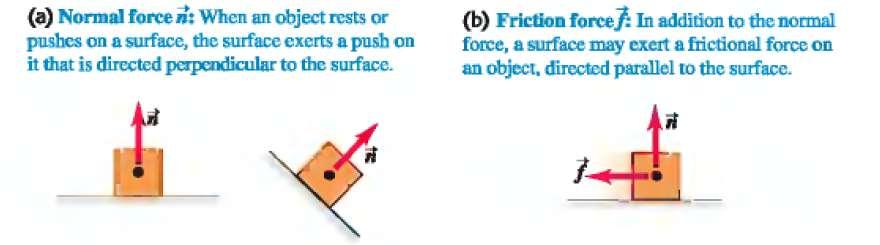 Prof. Dr. I. Nasser T171 Chapter5_I 1/10/017 5- SOME PARTICULAR FORCES (I) Gravitational force: Definition: The WEIGHT of an object = the force of gravity on the object. W = mg Why?