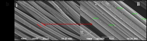 The SEM images of untreated carbon cloth material fibers are quite similar to those already in the literature with diameter having 20 µm.