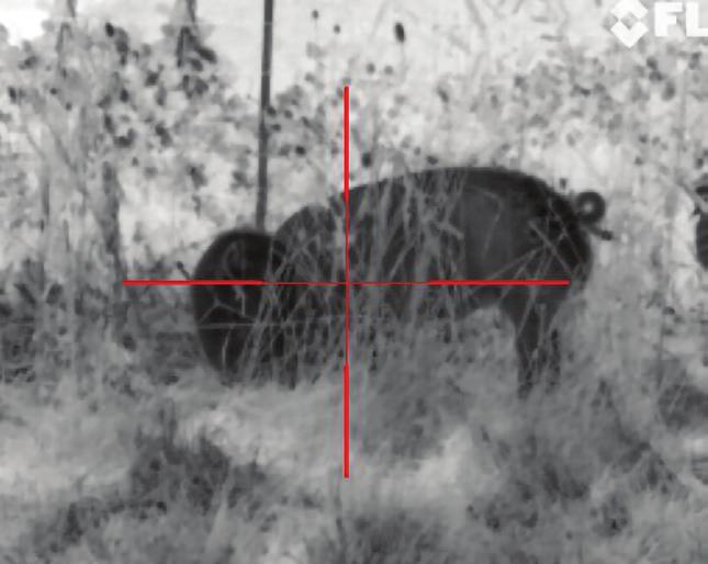 You chose everything up to this point based on merit for its role in getting a shot on-target. Does your reticle selection get the same consideration?