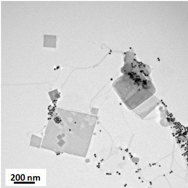 Supplementary Figure S10 TEM image of synthesized structures without using graphene oxide sheets as templates.