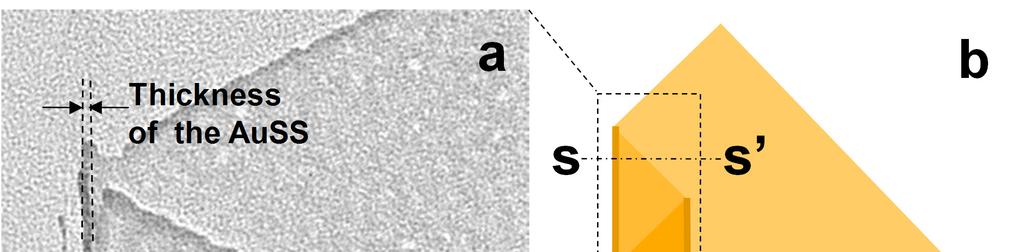 Supplementary Figure S3 Estimation of the thickness of an Au square