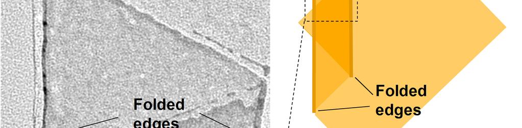 a, TEM image of a folded AuSS, with measured average width of the