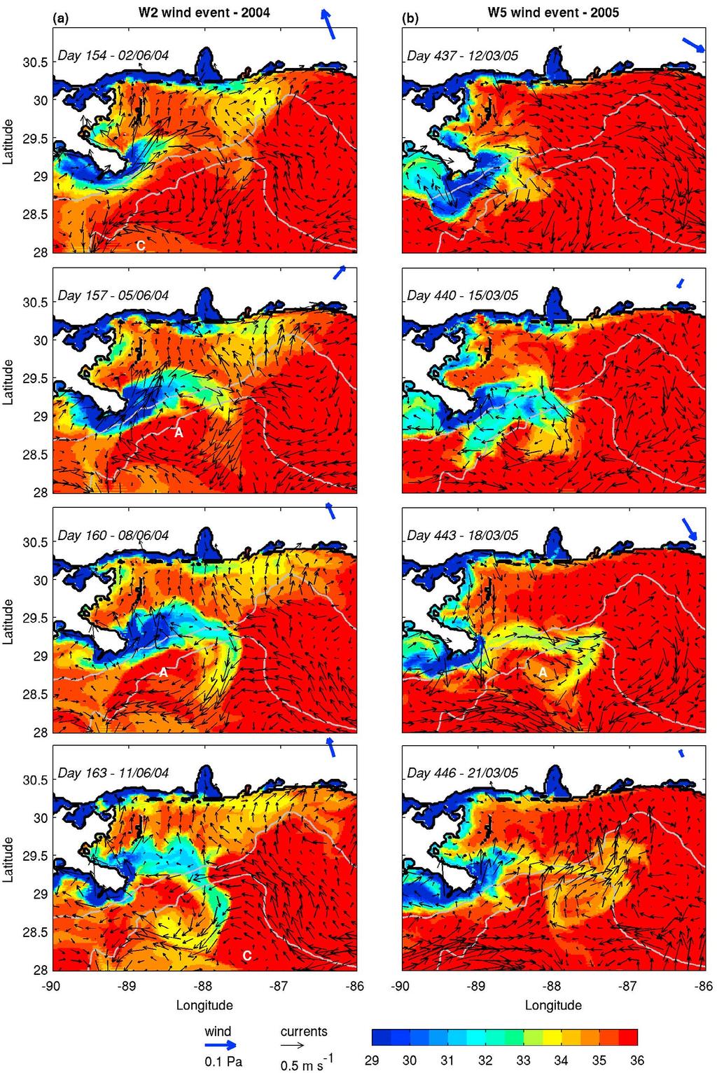 Figure 9. Snapshots of sea surface salinity and surface velocity vectors from selected days during the wind periods (a) W2 and (b) W5. Part of the model domain shown.