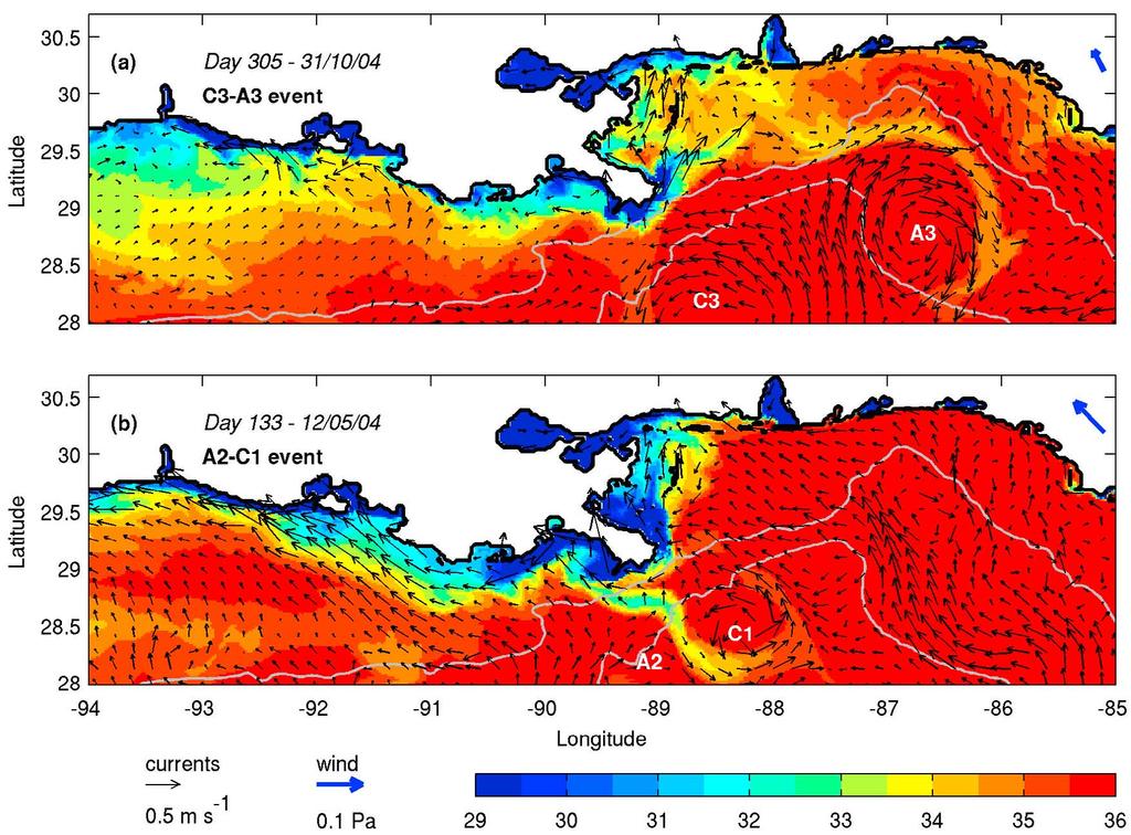 Figure 12. Snapshots of sea surface salinity and surface velocity vectors during two eddy events (a) C3 A3 and (b) A2 C1. Part of the model domain is shown.