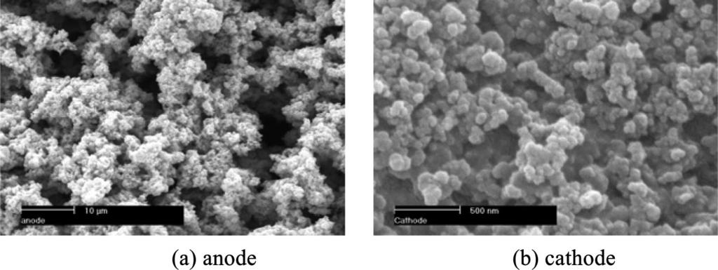 Transport Phenomena in Fuel Cells 321 electron microscopy (SEM) images of such microstructures of the DMFC anode and cathode, respectively, where high surface areas for electrochemical reactions are