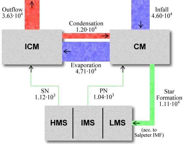 Chemo-dynamical Evolution of the ISM in Galaxies 7 Figure 5. Flow of matter between the components in the chemo-dynamical dirr model. The diagram shows the temporal average over the interval 6.