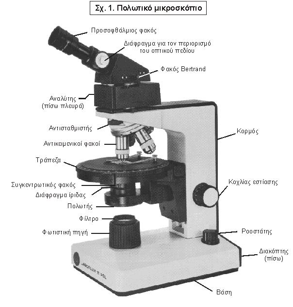 All parts of your microscope should function smoothly and easily. NEVER USE FORCE!