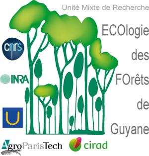 Design of experiments CIRAD - UMR Ecologie des forêts de Guyane vivien.rossi@cirad.