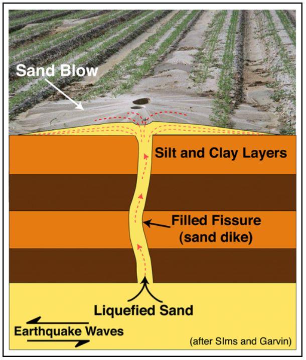 Depiction of sand blow used to date pre-historic