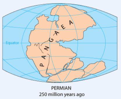 Pangaea supercontinent, 250 ma bp
