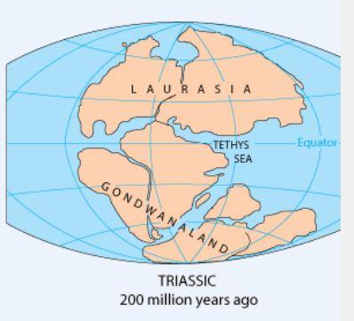 Pangaea supercontinent, 200 ma bp