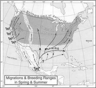 IV. Colonization, Seasonal Migrations, and Irruptions More