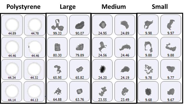 Results The size groups defined for particle counting included 2 μm to 10 μm (small), 10 μm to 25 μm (medium), and greater than 25 μm (large), with the addition of a specific group for the 40 μm