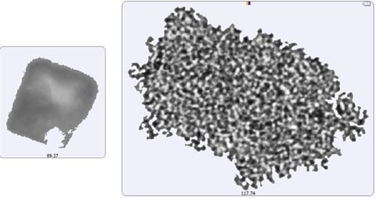 In fact, it could be argued that the particulates in the lysozyme suspension seemed to be a series of smaller aggregates collected together in a larger body (Figure 5).