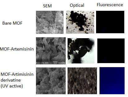 Figure 2 EDX spectrum of MOF (left) and MOF-Artemisinin (right) The SEM analyses of MOF-Artemisinin, and MOF-artemisinin derivative indicate a more inflated morphology as compared to the bare MOF