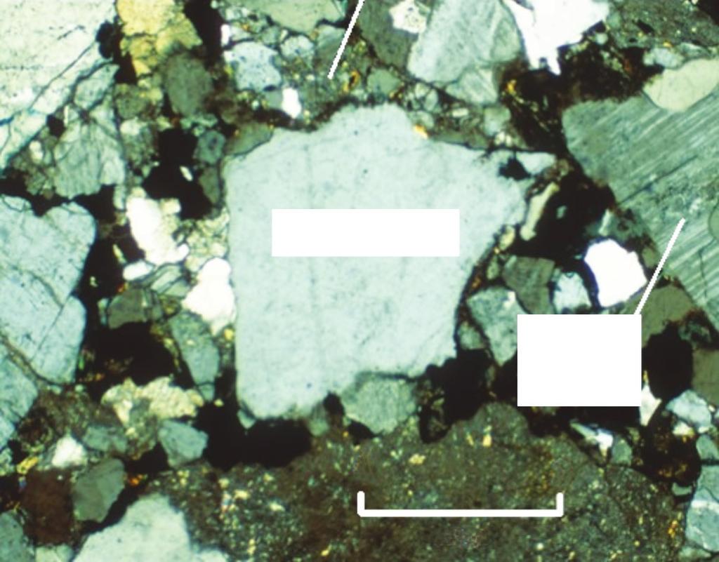 fine-grained clay matrix (10%) quartz (60 %) feldspar (30 %) quartz quartz cement calcite cement Rock A (rocks at different scales) Rock