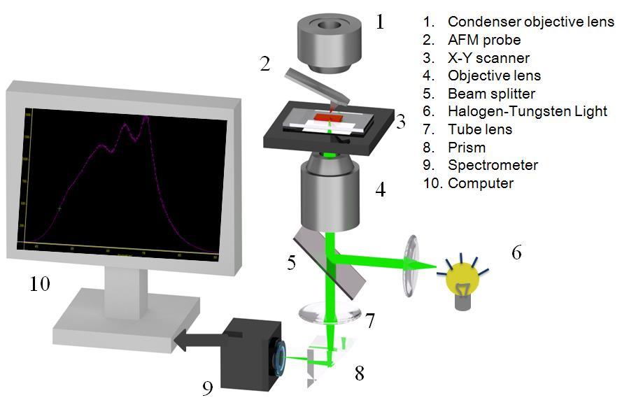 Schematic of the confocal absorption spectral mapping S1: Schematic of the AFM combined with confocal photoluminescence, Raman and absorption measurement systems in a backscattering geometry.