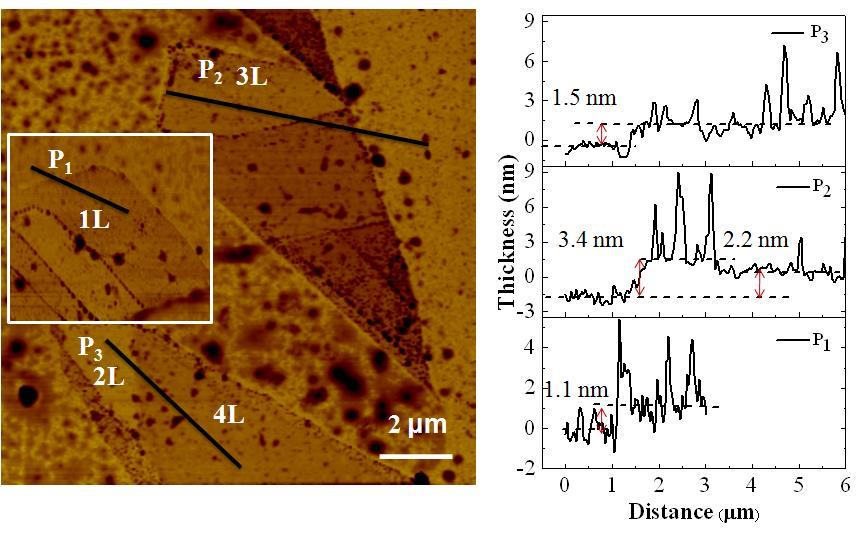 Normalised Raman Intensity system, we could obtain precise topographic information on the region of the sample from which the PL, Raman and absorption spectroscopic data were obtained, thus enabling