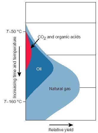 Source Thermal Maturity With increasing heat and pressure, oil transitions to gas, and then CO2 Generally, the longer and deeper the burial = more oil or gas Too hot for too long =