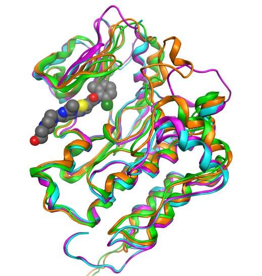 Catalytic Loop 10 teams joined to predict inhibitors for a Tyr Kinase (cyes) using