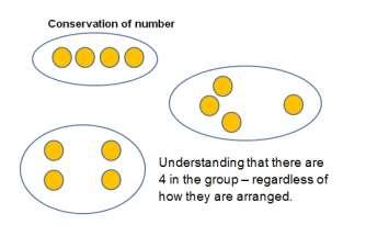 Number and number processes Conservation of number Understanding that the quantity of a set does not change due to how they are arranged. e.g. in a group or in a row = same amount.