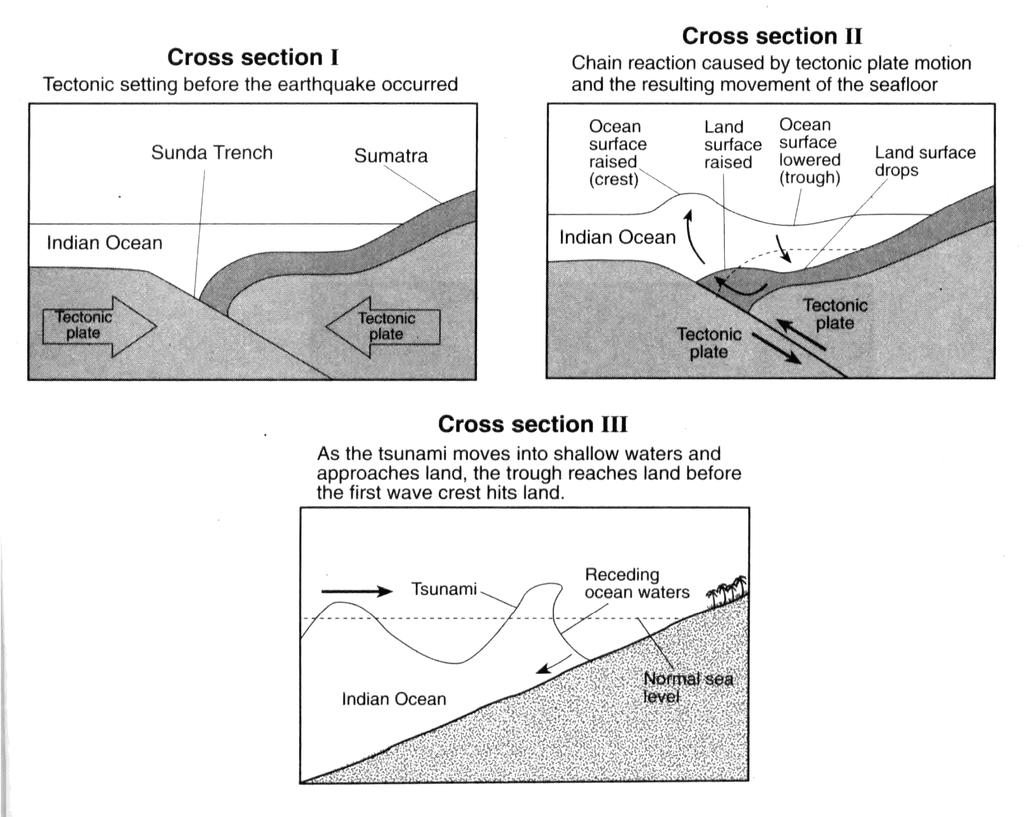27. Based on cross section III, describe the ocean water-level change at the shoreline that people observed just before the first tsunami wave approached the shore. 28.