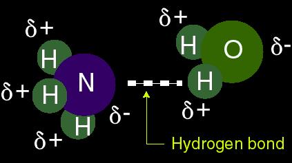 Hydrogen Bonding