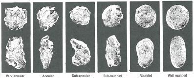 Sedimentary rocks Sediments and clastic