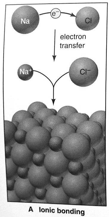 (1). Metal with nonmetal: electron transfer and ionic bonding Typically as IONIC, BONDING Such difference occur between reactive metals (1A(1) and 2A(2)) and nonmetals (7A(17)) and the top of Group