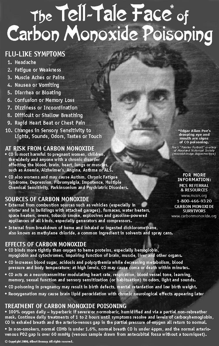 Combustion Reactions Edgar Allen Poe s drooping eyes and mouth are